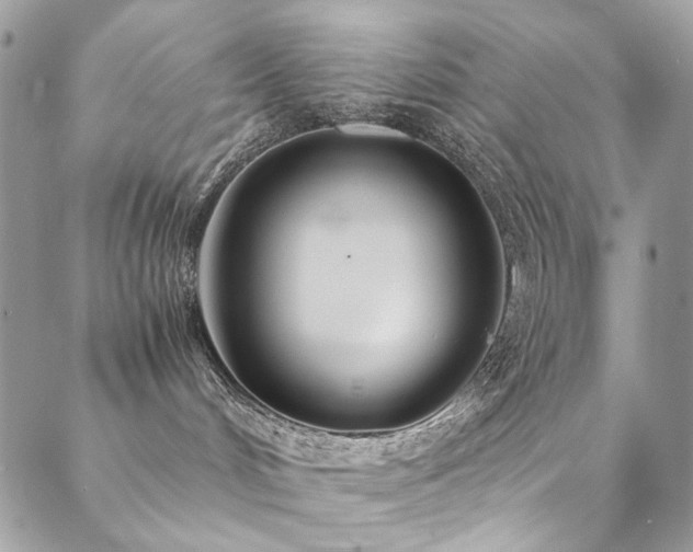 X0000089370048200706151209