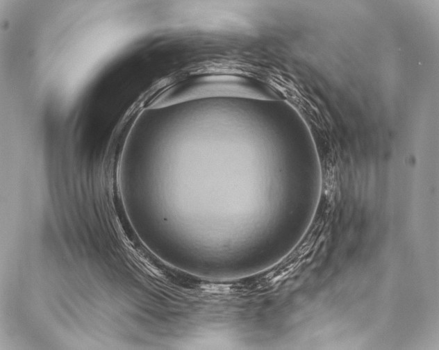 X0000089370052200706151209
