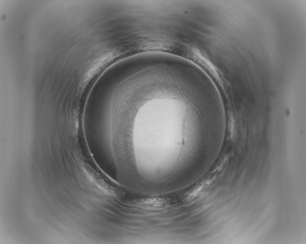 X0000089370059200706151209