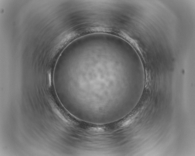 X0000089370061200706151209