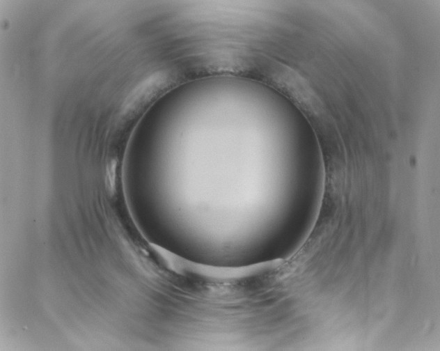 X0000089370070200706151209