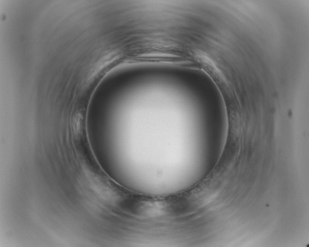 X0000089370071200706151209