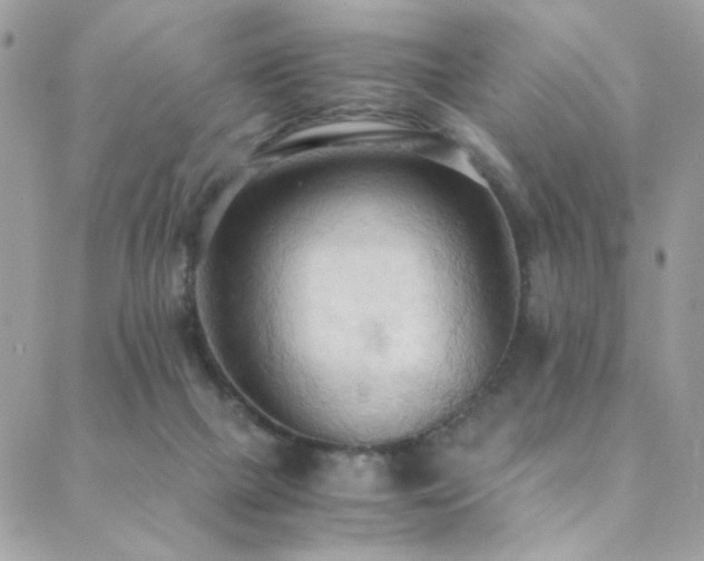 X0000089370073200706151209