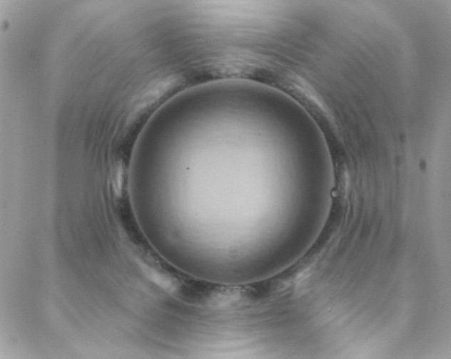 X0000089370076200706151209