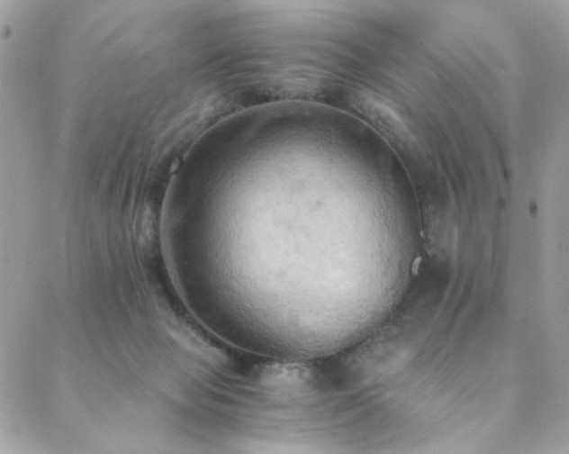 X0000089370077200706151209