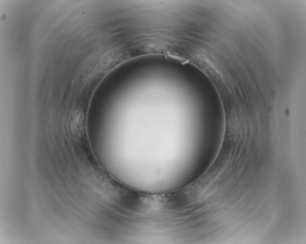X0000089370079200706151209