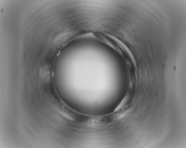 X0000089370080200706151209