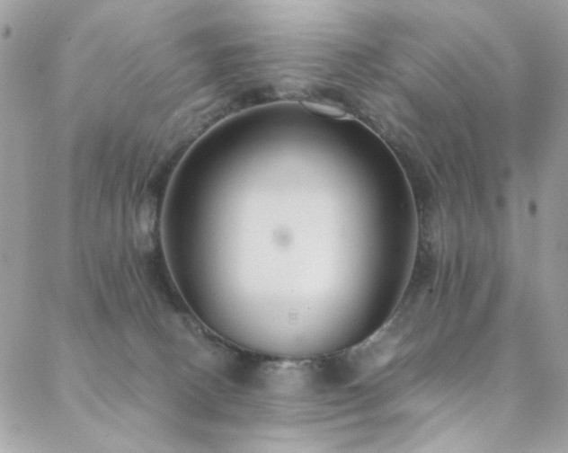 X0000089370082200706151209