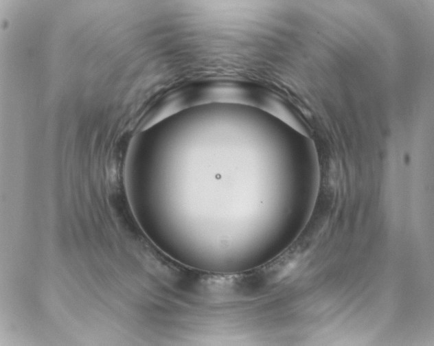 X0000089370084200706151209