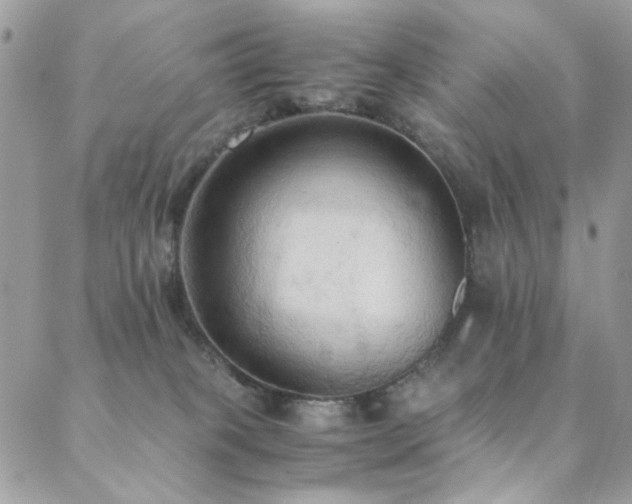 X0000089370085200706151209