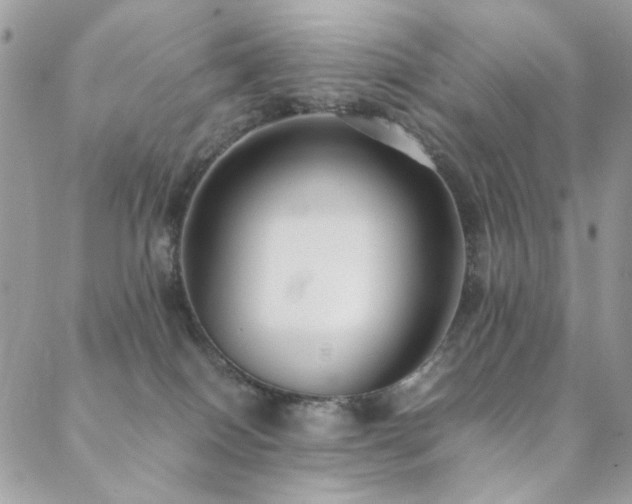 X0000089370086200706151209