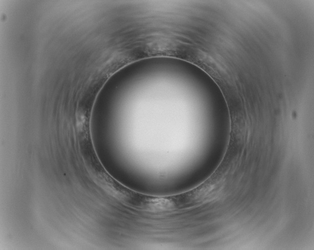 X0000089370087200706151209