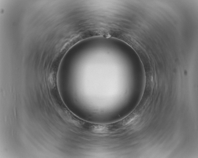 X0000089370088200706151209