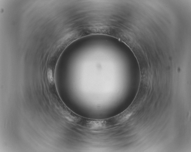 X0000089370089200706151209