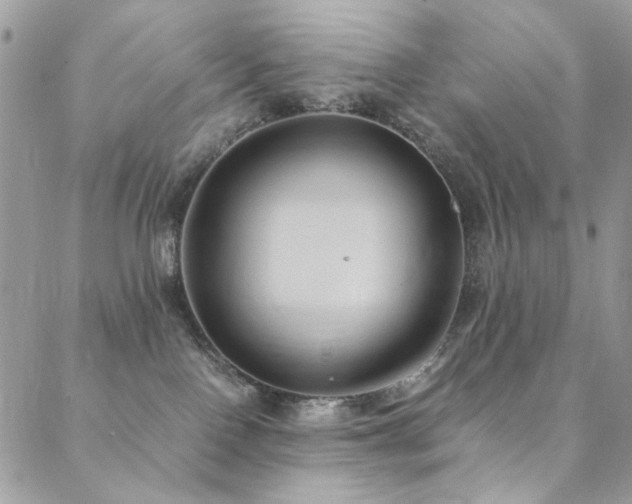 X0000089370090200706151209