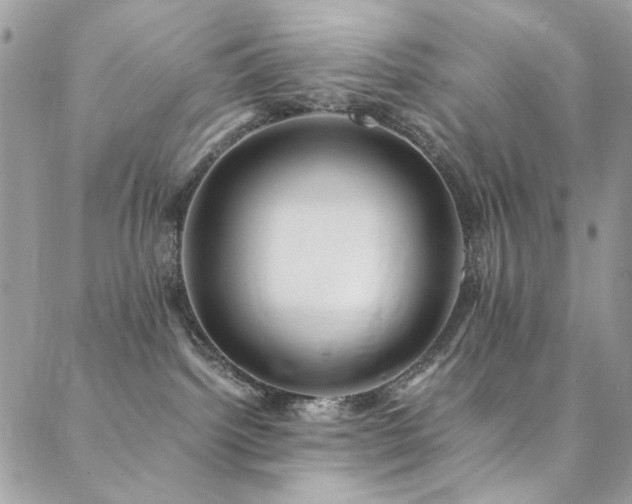 X0000089370092200706151209