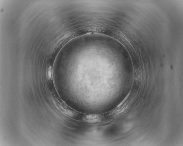 X0000089370095200706151209