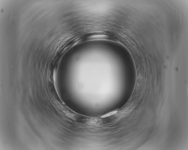 X0000089370096200706151209
