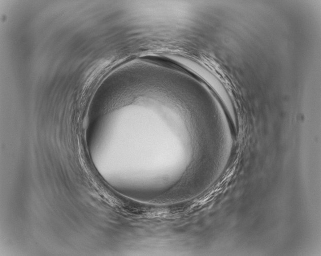X0000089370097200706151208