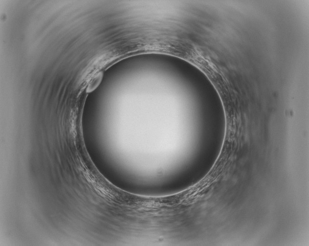 X0000089370098200706151208