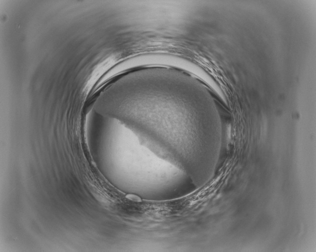 X0000089370099200706151208