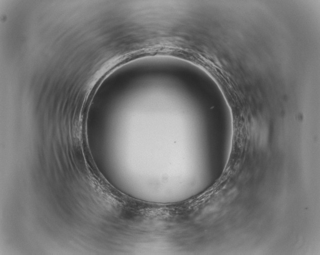 X0000089370100200706151208
