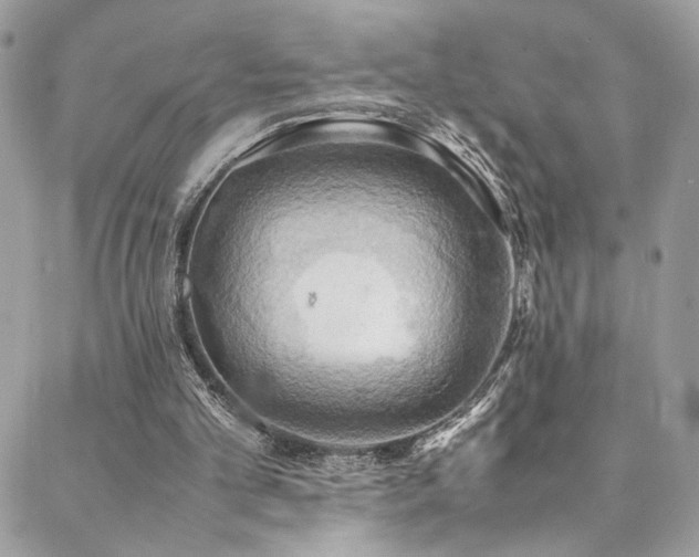 X0000089370101200706151208