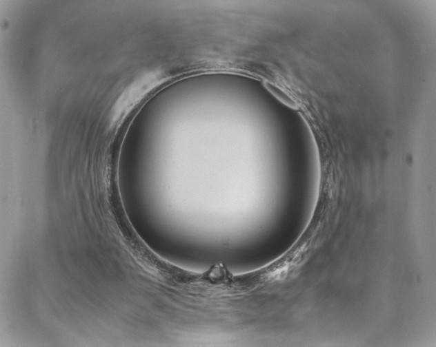 X0000089370103200706151208
