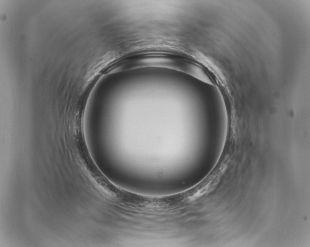 X0000089370105200706151208