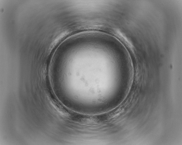 X0000089370107200706151208