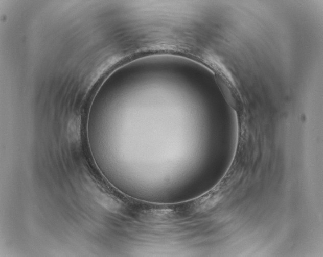 X0000089370108200706151208