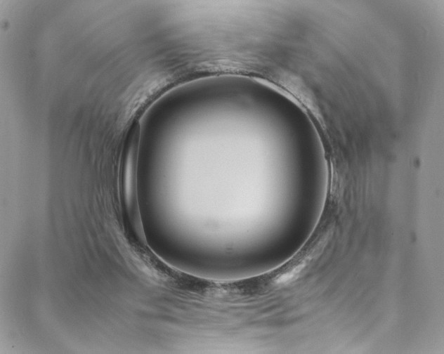 X0000089370109200706151208