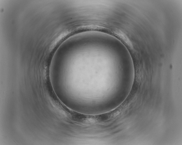 X0000089370111200706151208
