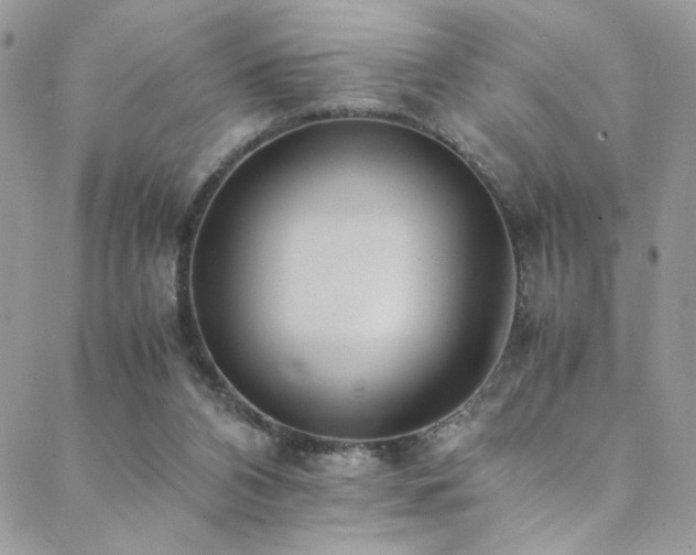 X0000089370112200706151208