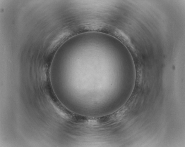 X0000089370114200706151208