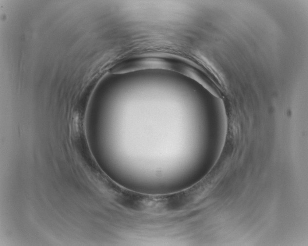 X0000089370117200706151208