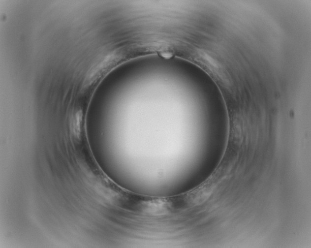 X0000089370118200706151208
