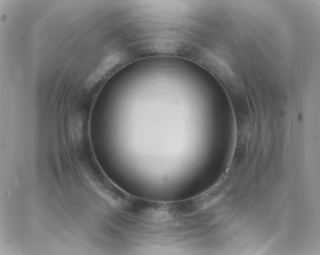 X0000089370120200706151208