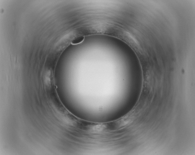X0000089370122200706151208