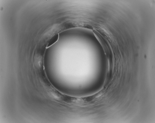 X0000089370125200706151208