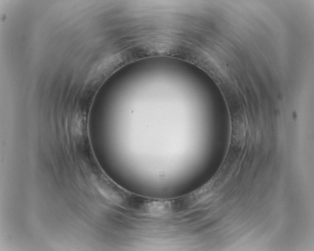 X0000089370126200706151208