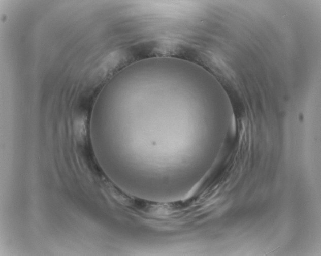 X0000089370127200706151208