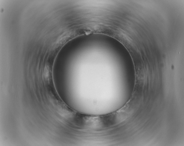 X0000089370132200706151208