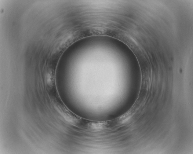 X0000089370134200706151208