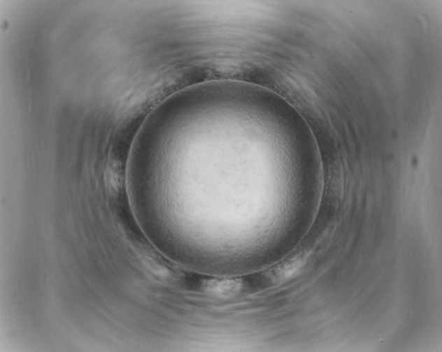 X0000089370135200706151208