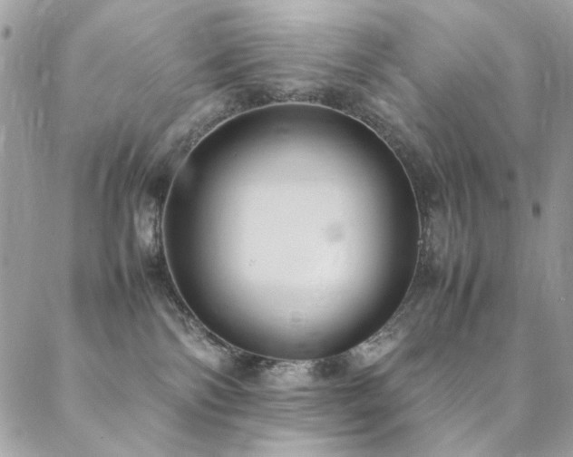 X0000089370138200706151208