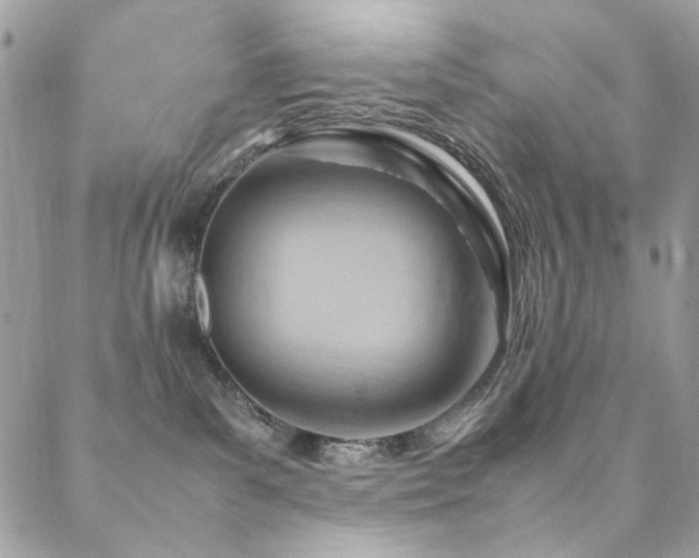 X0000089370139200706151208