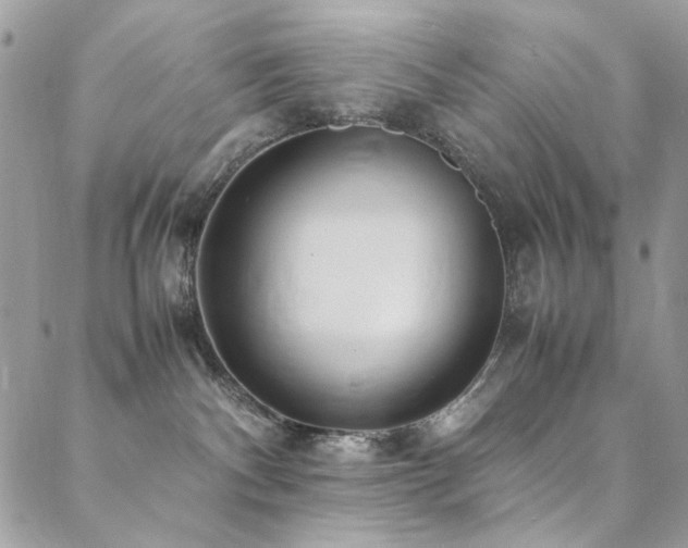 X0000089370140200706151208