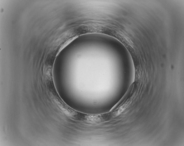 X0000089370141200706151208