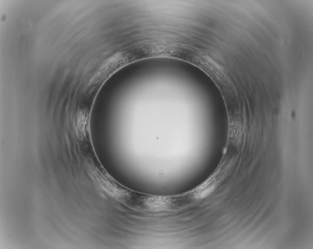 X0000089370142200706151208